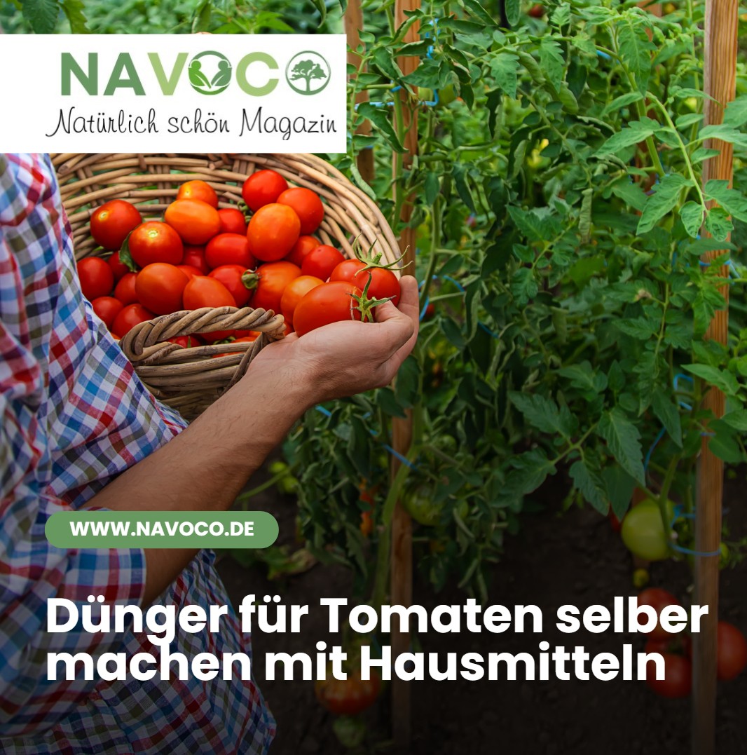 Dünger für Tomaten selber machen mit Hausmitteln Dünger für Tomaten selber machen mit Hausmitteln