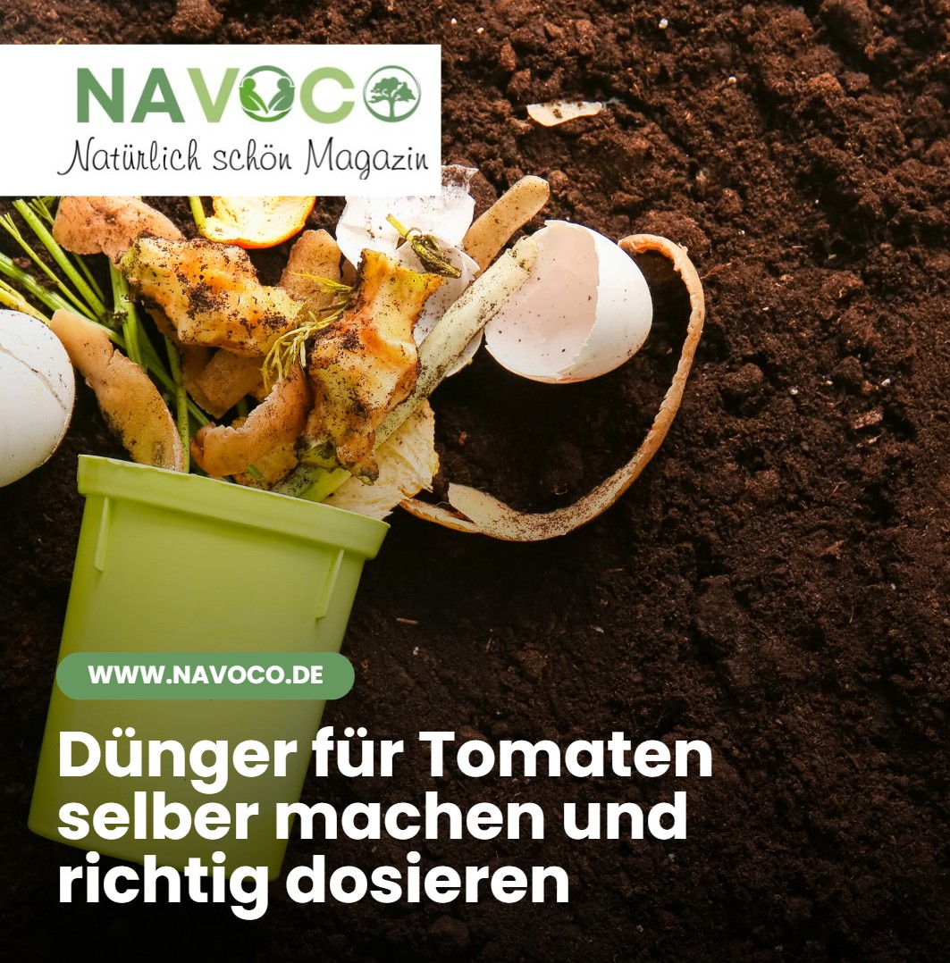 Dünger für Tomaten selber machen und richtig dosieren Dünger für Tomaten selber machen und richtig dosieren