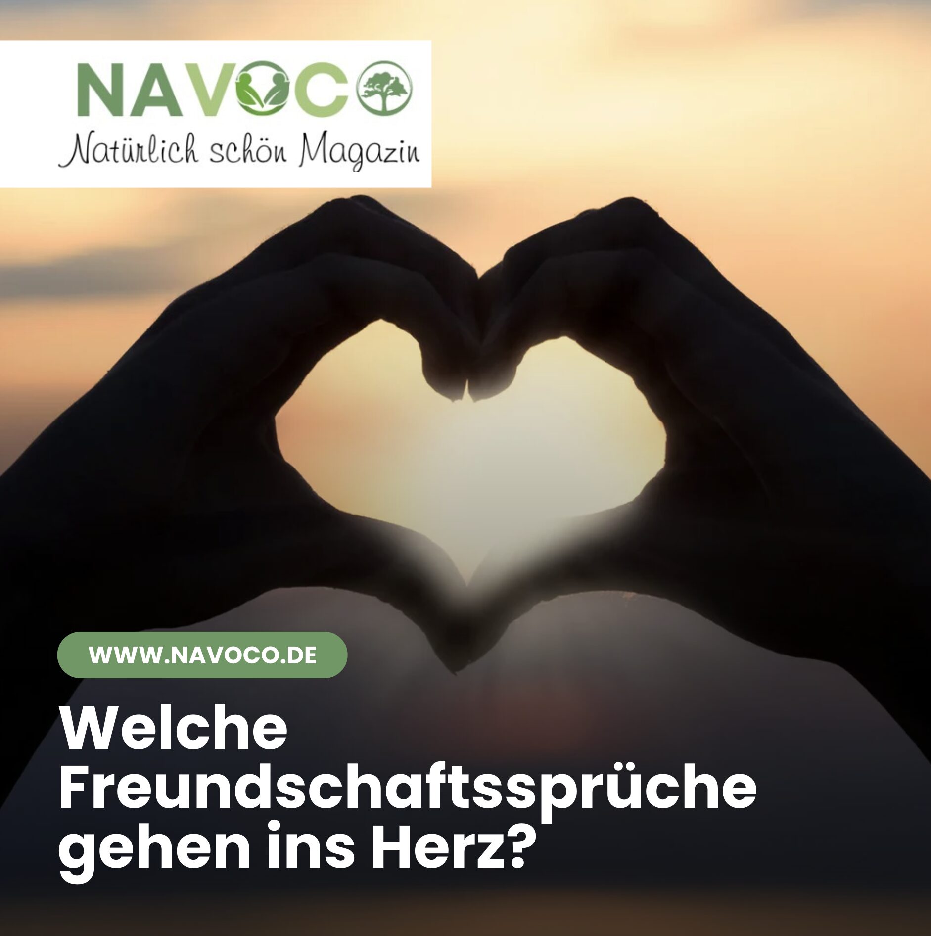 Welche Freundschaftssprüche gehen ins Herz? Welche Freundschaftssprüche gehen ins Herz?