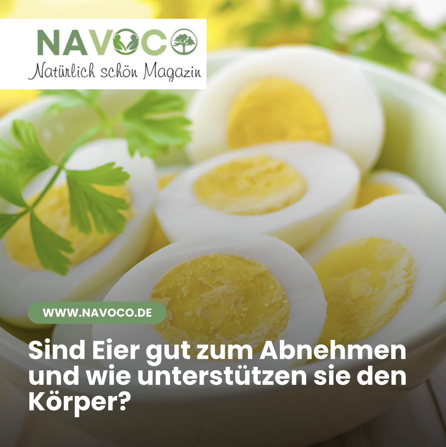 Sind Eier gut zum Abnehmen und wie unterstützen sie den Körper? Sind Eier gut zum Abnehmen und wie unterstützen sie den Körper?