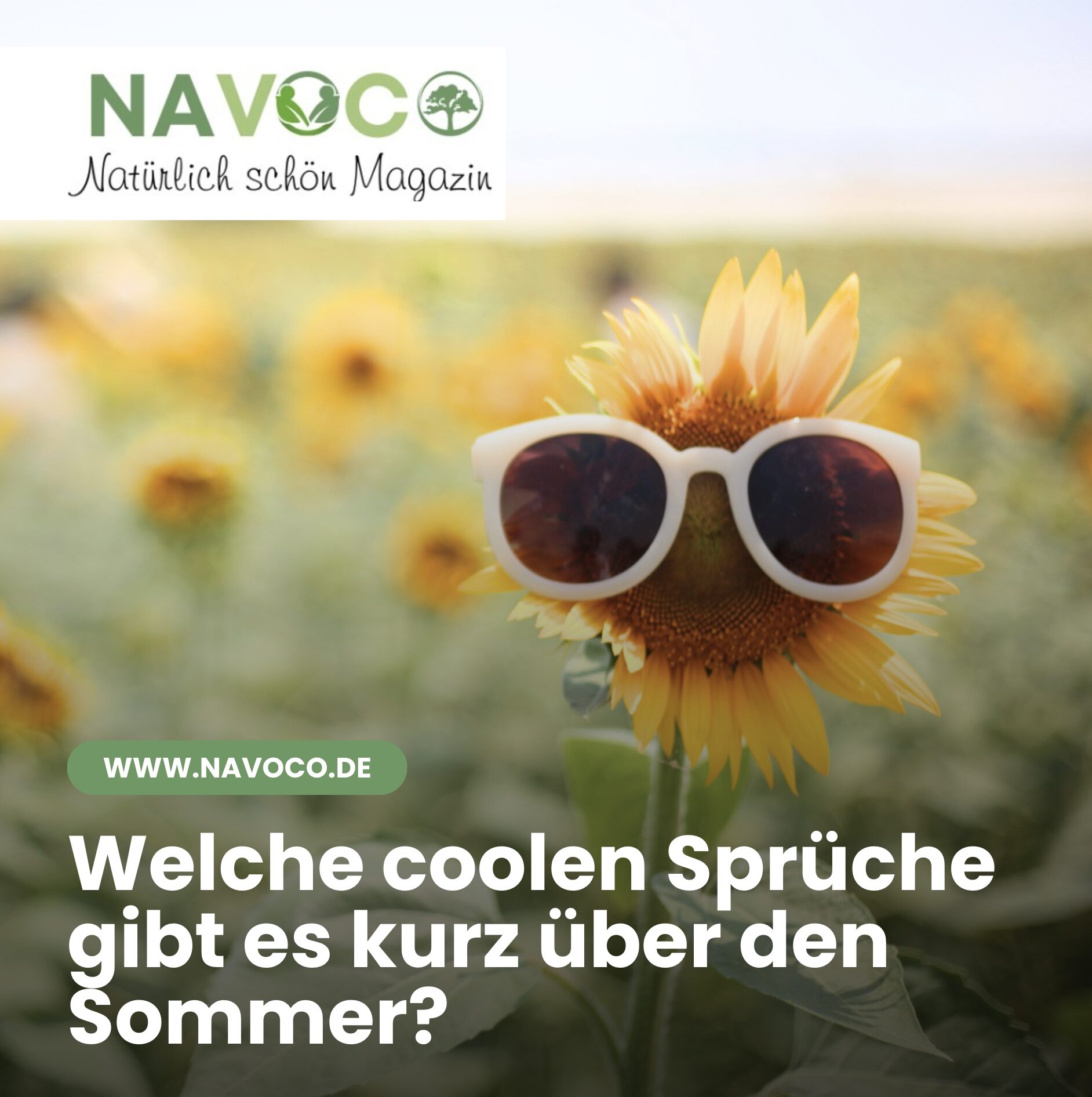Welche coolen Sprüche gibt es kurz über den Sommer? Welche coolen Sprüche gibt es kurz über den Sommer?
